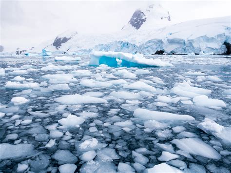 Record Hit for Most Ice to Melt in Antarctica in One Day, Data Suggests ...