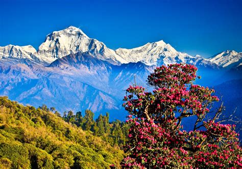 38 Reasons Why Should You Visit Nepal For 'Once In A Lifetime Experience'