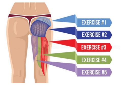 The Best Bum Exercises To Target All Butt Muscles - Fitneass