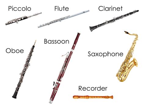 Learning Music Instruments | What Are Wind Instruments?