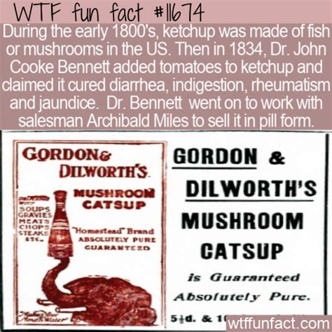 WTF Fun Fact - Medicinal Ketchup