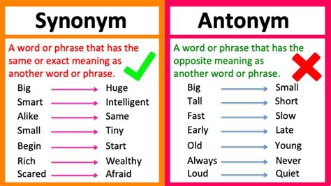 What Is Another Word For From This? Exploring Synonyms