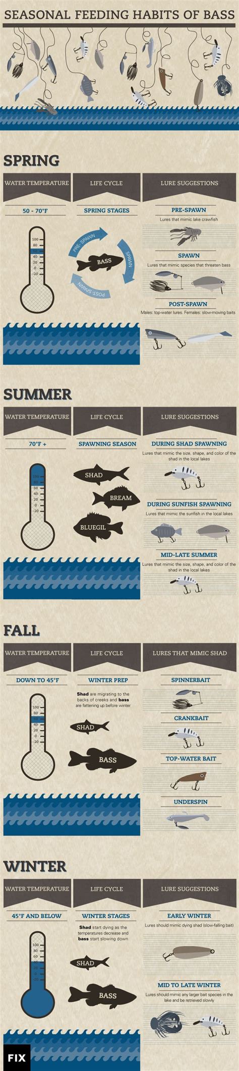 Bass Baiting by Season | Bass fishing, Fishing tips, Fish