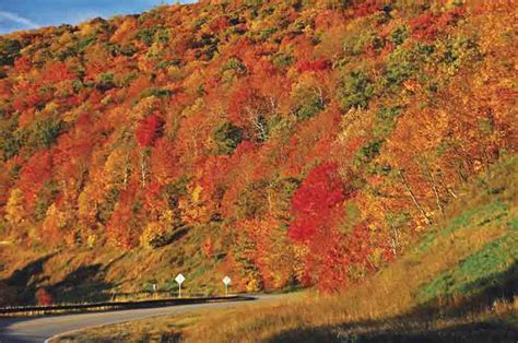 West Virginia fall foliage popular | News, Sports, Jobs - News and Sentinel