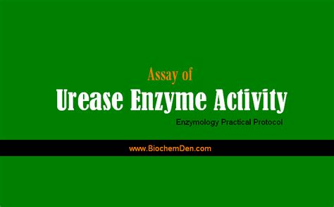 Assay of Urease Enzyme Activity (Enzymology Practical Protocol)