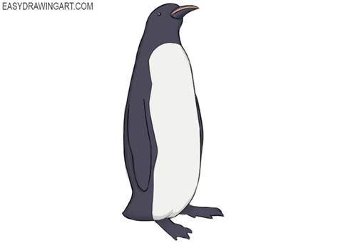 How to Draw a Penguin - Easy Drawing Art