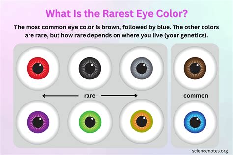 The Rarest Eye Colors In The World Eye Colors Explained – NBKomputer