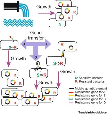 Antibiotic-Resistance Genes in Waste Water: Trends in Microbiology