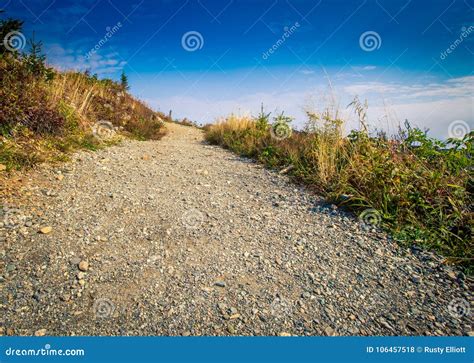 Hiking Trail in Gaspe, Quebec Stock Photo - Image of gaspe, wilderness ...