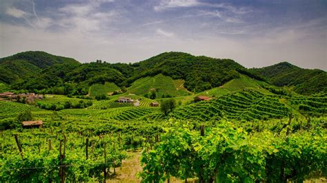 Veneto Wine Region - Wine Regions of Italy | Wine-Searcher