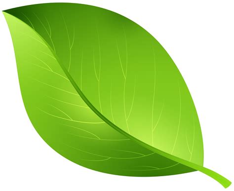 Cartoon - Green Leaf Transparent PNG Clip Art Image png download - 8000 ...