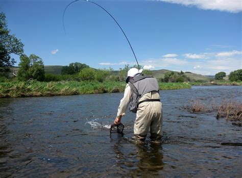 12 Top-Rated Fly Fishing Destinations in Wyoming | PlanetWare