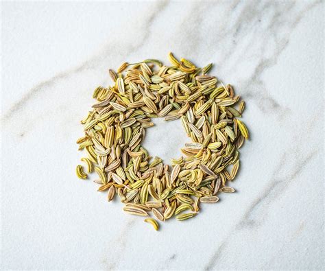 Whole Fennel Seeds Seasoning | Savory Spice