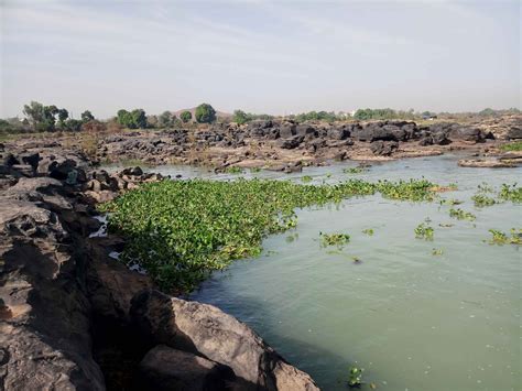 Niger-Fleuve - Ousmane Makaveli - Ousmane Makaveli