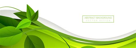 134 Background Green Vector Png Pics - MyWeb