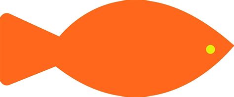 Isolated orange fish character. 24864313 Vector Art at Vecteezy