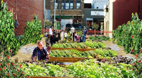 Why Urban and Community Gardens Are Important