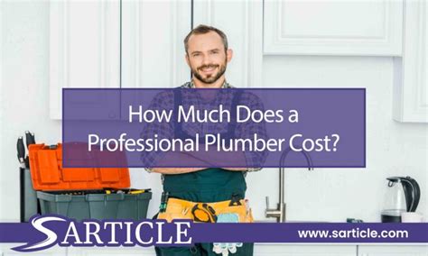 How Much Does a Professional Plumber Cost?