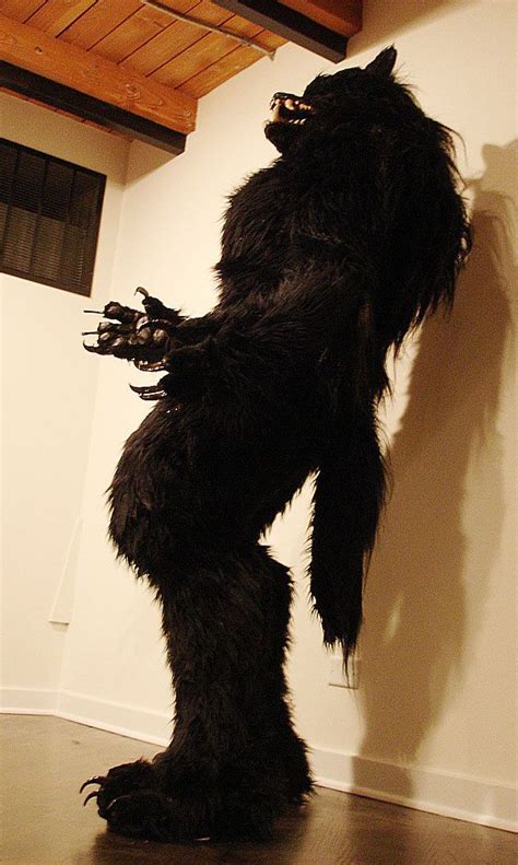 Werewolf Costume | Werewolf costume, Werewolf, Wolf costume