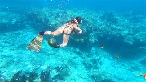 Snorkeling | Key West, Florida (World's Third Largest Coral Reef) - YouTube