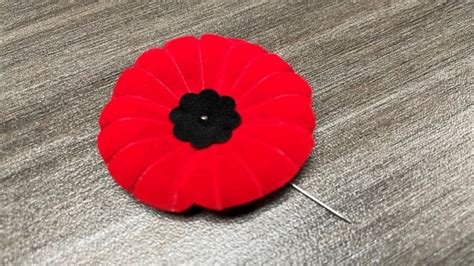 This year's Remembrance Day poppies are biodegradable for the 1st time ...