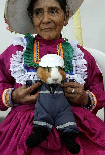 Guinea pig festival in Peru