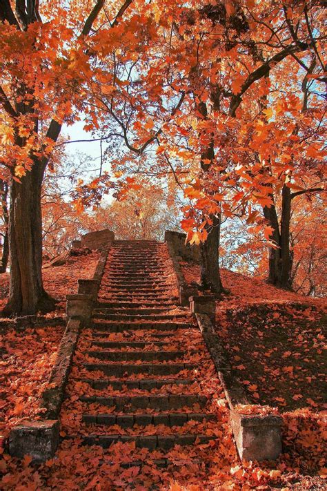 15 Selected autumn wallpaper aesthetic pinterest You Can Get It Free Of ...