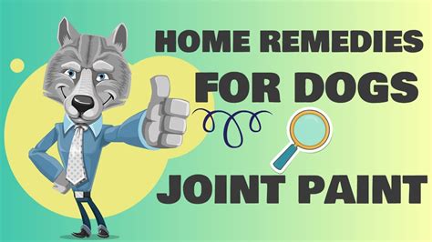 🔥Tips and Complete Guide home remedies for dogs joint pain – dog pain ...