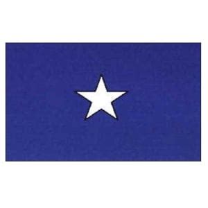 Bonnie Blue flag – Flags2020 – Bob Hughes Display