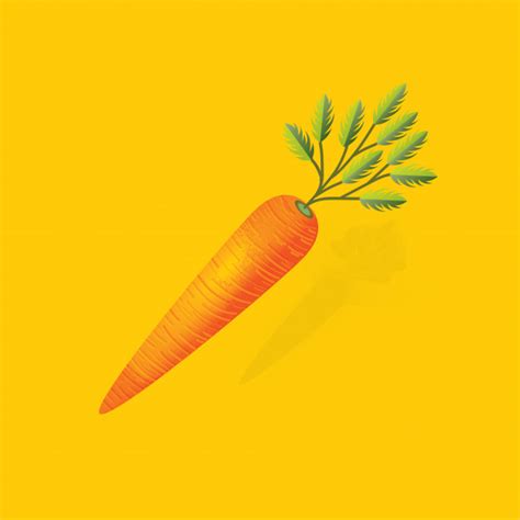 Premium Vector | Carrot