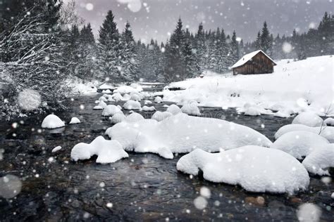 Winter Landscape with Snowing, Fresh Snow Stock Photo - Image of ...