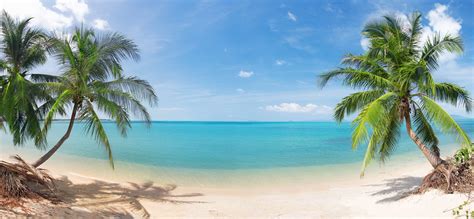 🔥 [50+] Panoramic Beach Wallpapers | WallpaperSafari