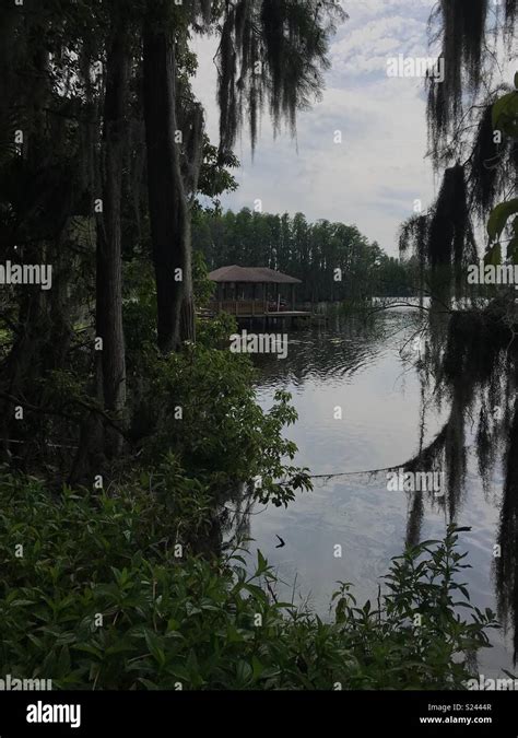 Covered dock on lake 2 Stock Photo - Alamy