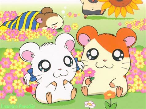 Pin by Ravin Thorn on Hamtaro | Hamtaro, Anime nerd, Old anime