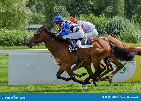 Racing flat races. editorial stock photo. Image of thoroughbred - 255615928