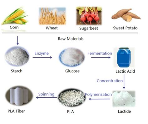 PLA, Biodegradable And Decomposable Plastics | ILUCKU Tech In 2024