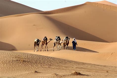 Morocco Vacation Packages | Pure Morocco Tours