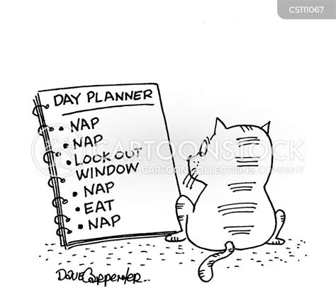 Cat Nap Cartoons and Comics - funny pictures from CartoonStock