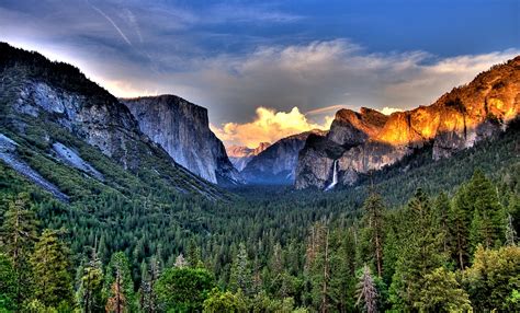 USA, California, Yosemite National Park, Jeffery Pine tree on Sentinel ...