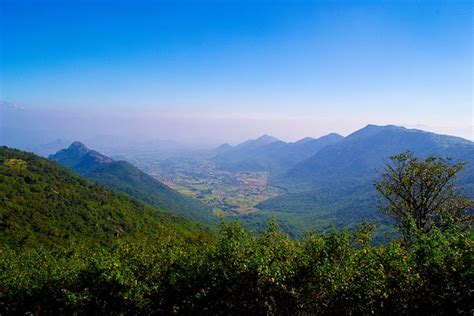 A Complete Tour Guide To Yercaud Hill Station - Trans India Travels