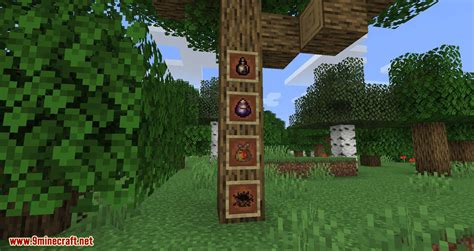 Bird Nests and Treasures Mod (1.16.5, 1.15.2) - Random Collectable ...