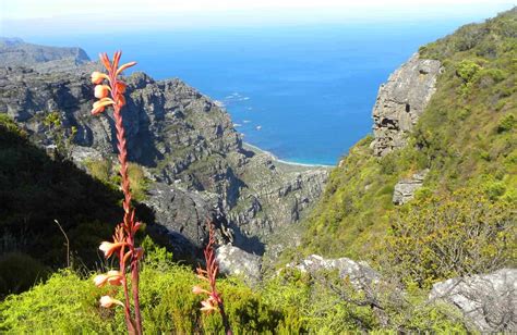 Hiking up the Twelve Apostles to Table Mountain, Cape Town