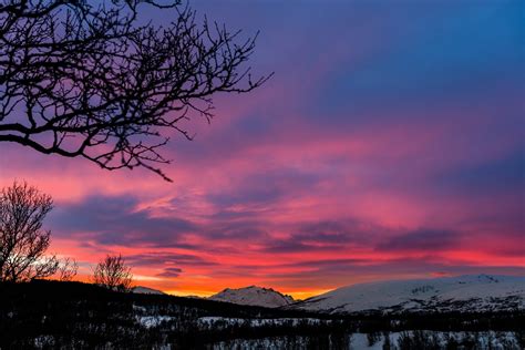 Download Forest Tree Snow Mountain Winter Sky Nature Sunset HD Wallpaper