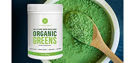 Organic Greens Powder: The Best-Sellers (November-2024) - Organic ...