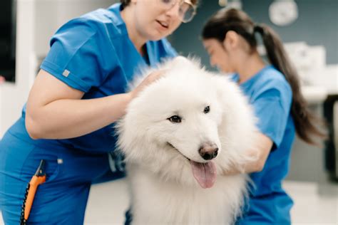 A hospital for all your pet’s care.