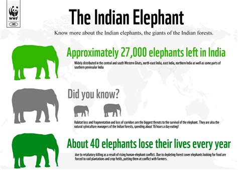 Elephant Conservation | Elephant Corridors, Project Elephant, MIKE ...