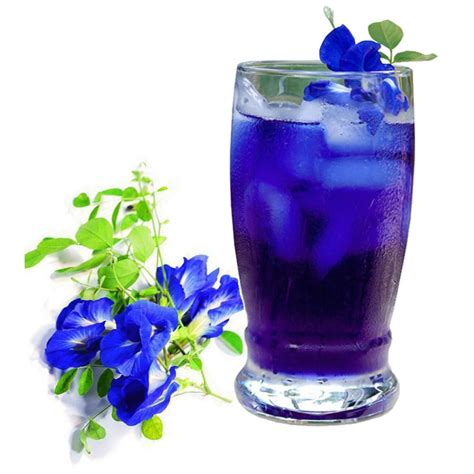 Butterfly Pea, Blue Pea Vine Seeds (Clitoria ternatea) Prijs: -€2.65