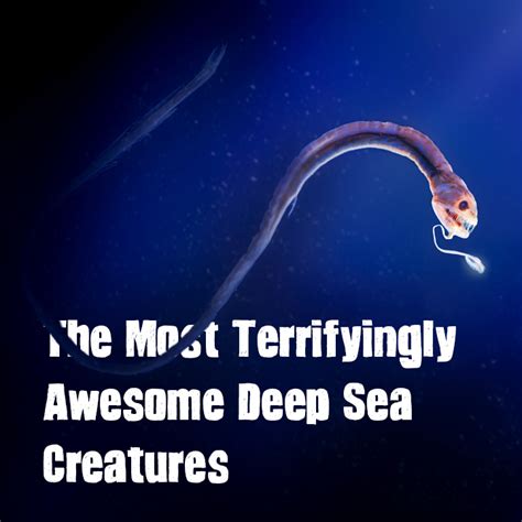 Deep Sea Program : Discover the Most Terrifyingly Awesome Deep Sea ...