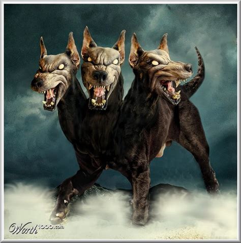 Cerberus Greek Mythology Images & Pictures - Becuo