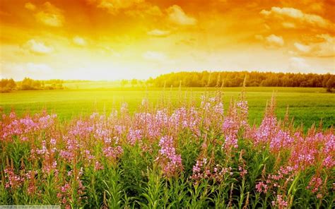 Bright Sunrise Wallpapers - 4k, HD Bright Sunrise Backgrounds on ...